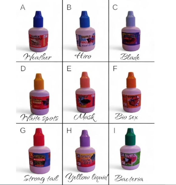 SUMA Betta Fish Product | Famous grooming products from Thailand
