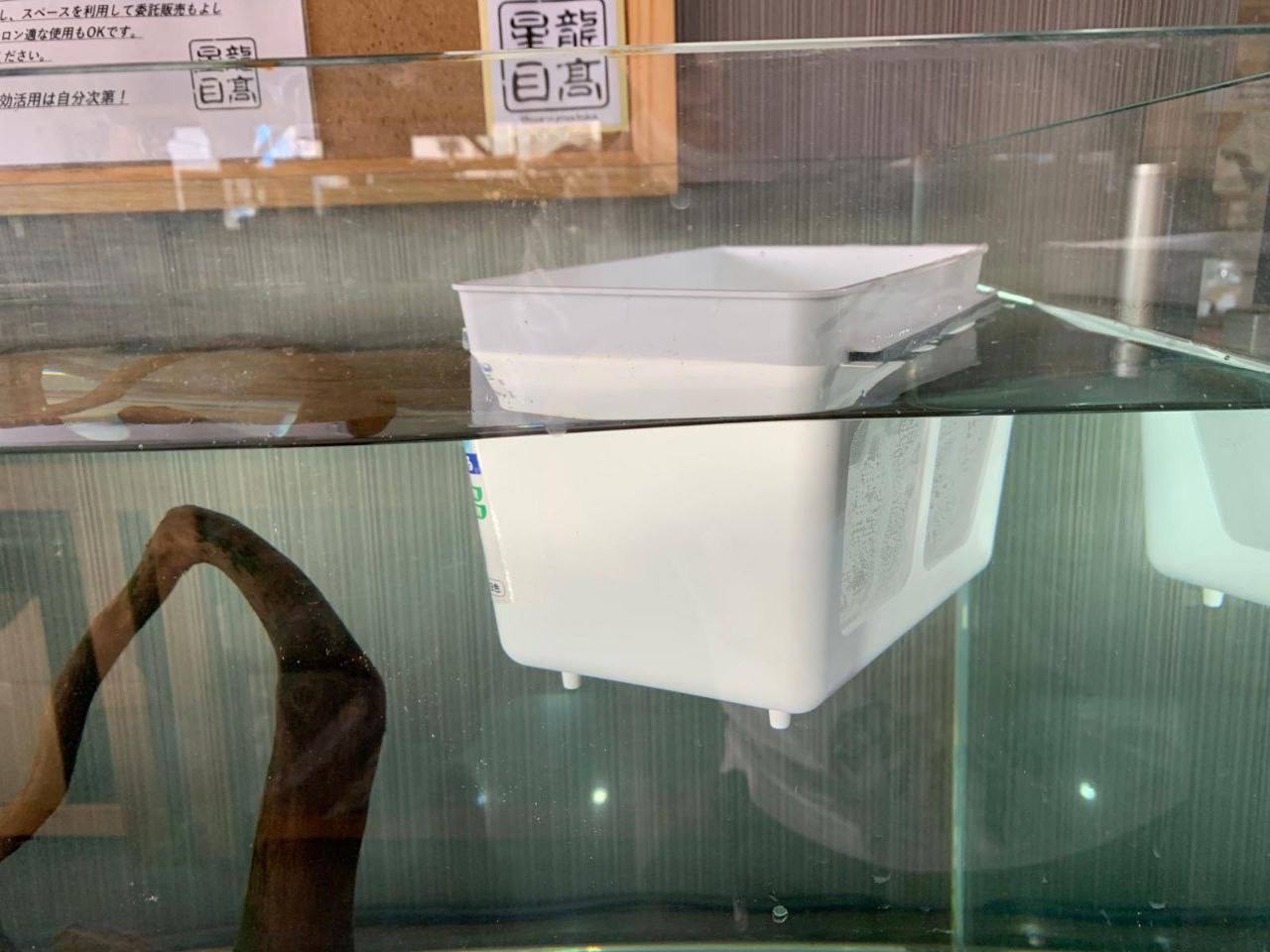 MiPlus Wakepuka Breeding/Separation Container