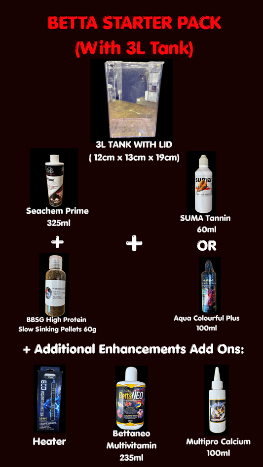 Betta Starter Pack (With 3L Tank) - Special Bundle Price: $55 Only (Usual Value $64)