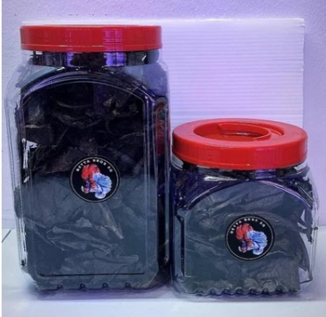 *High Grade* Indian Almond Leaves [Ketapang Leaves] - Waterfall Tannin Within Minutes