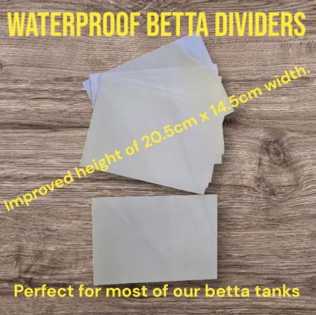 Waterproof Betta Dividers
