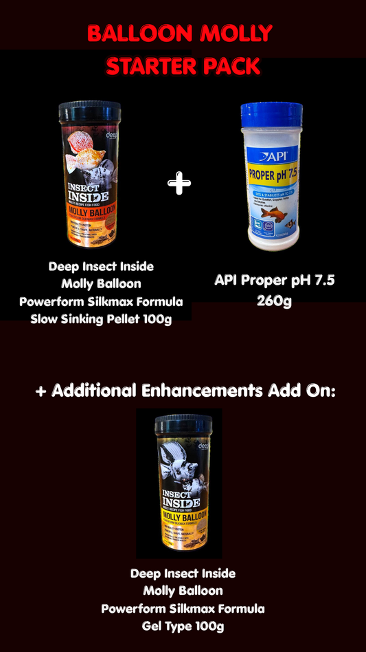 Balloon Molly Starter Pack - Special Bundle Price: $30 Only (Usual Value $34)