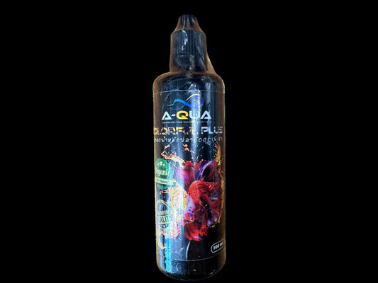 Betta Starter Pack (Without Tank) - Special Bundle Price: $45 Only (Usual Value $53)