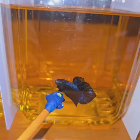 Blue Alien #2