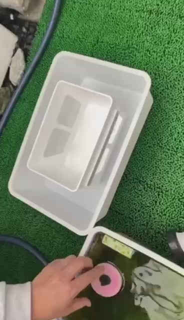 MiPlus Wakepuka Breeding/Separation Container