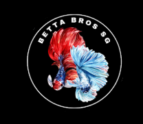 Betta Bros SG